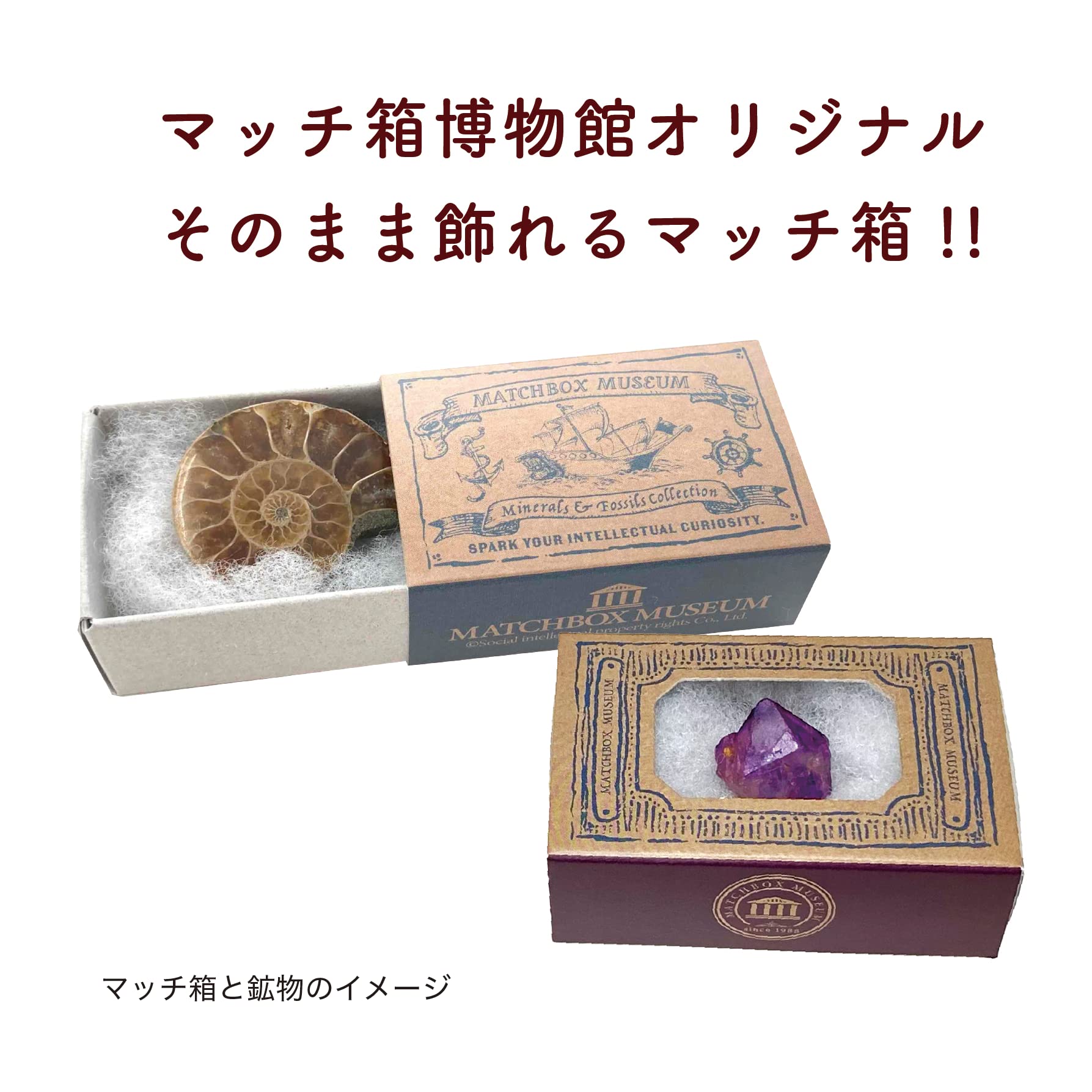 Amazon.co.jp: マッチ箱博物館 鉱物と化石のコレクション 36個